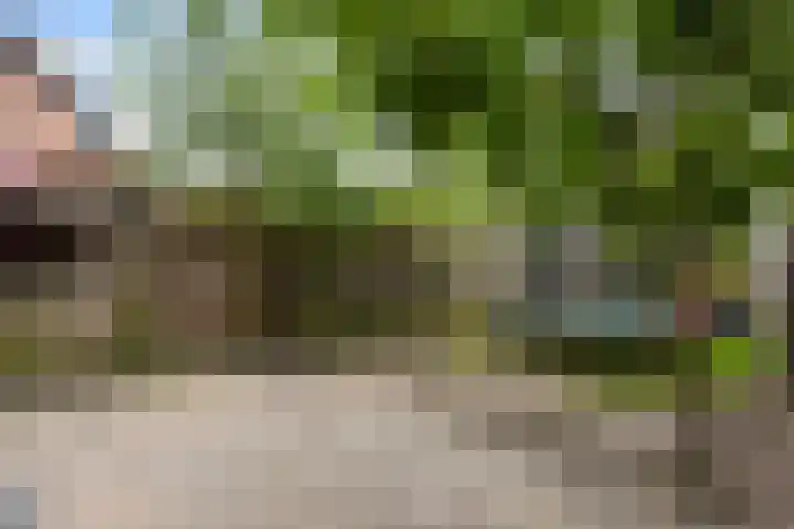 Holmsterheerd 55 Groningen thumbnail 5