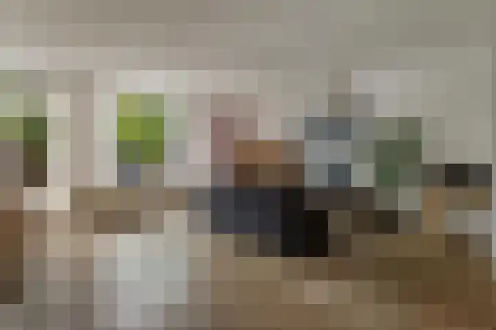 Holmsterheerd 55 Groningen thumbnail 7