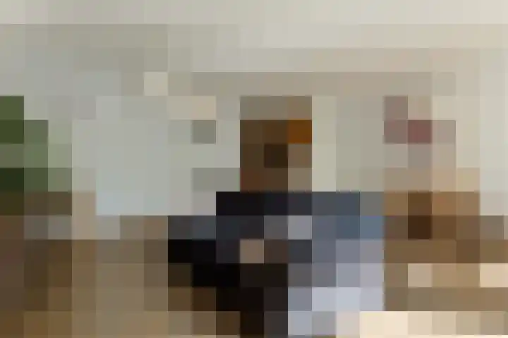 Holmsterheerd 55 Groningen thumbnail 8