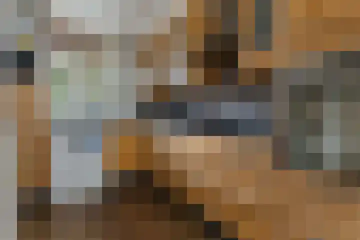 Holmsterheerd 55 Groningen thumbnail 9