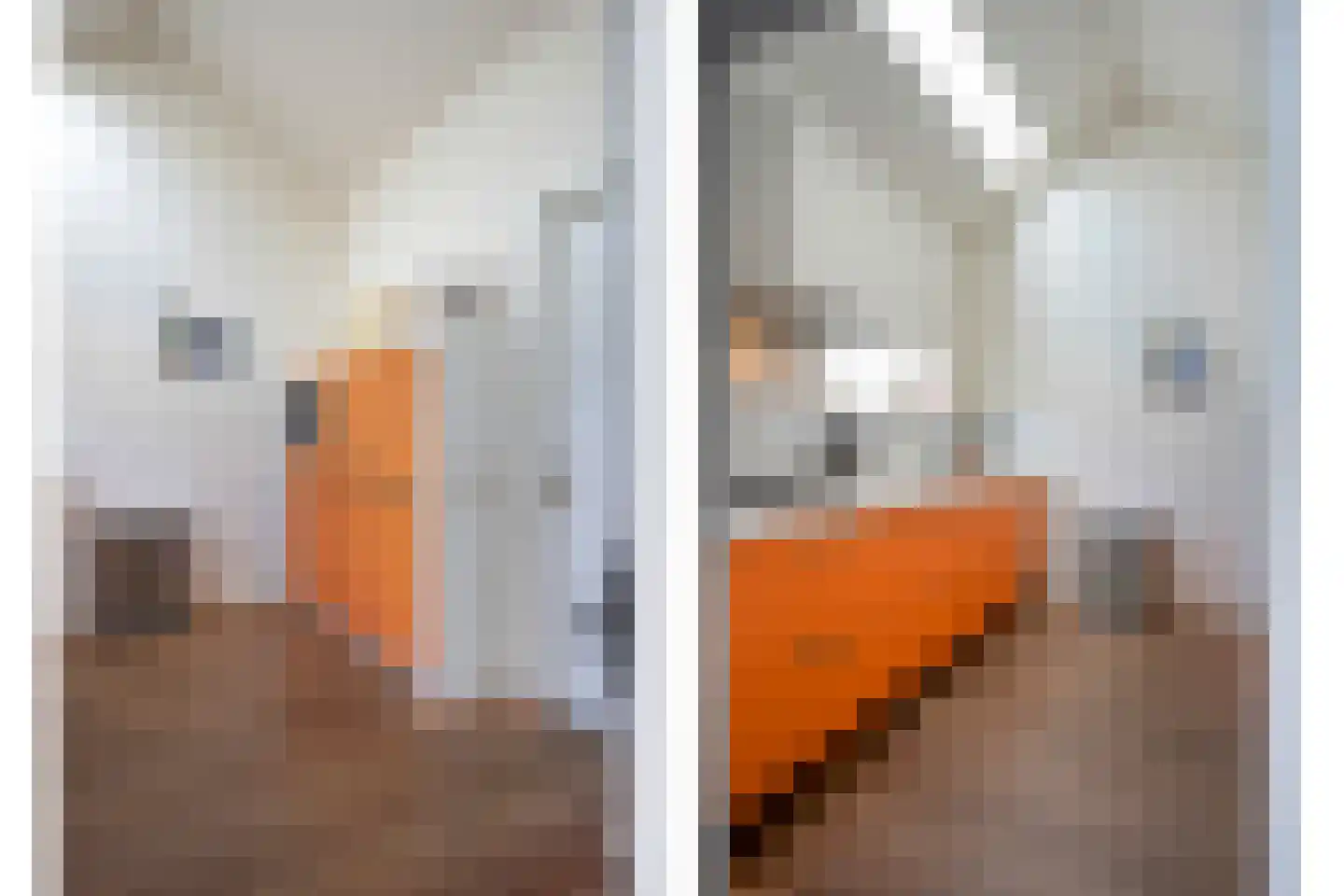 Holsberg 10 Urmond thumbnail 17