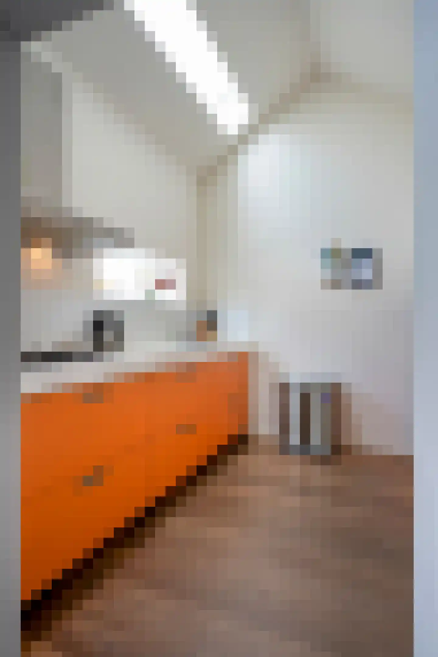 Holsberg 10 Urmond thumbnail 18