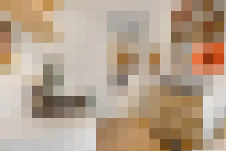 Holsberg 12 Urmond thumbnail 35