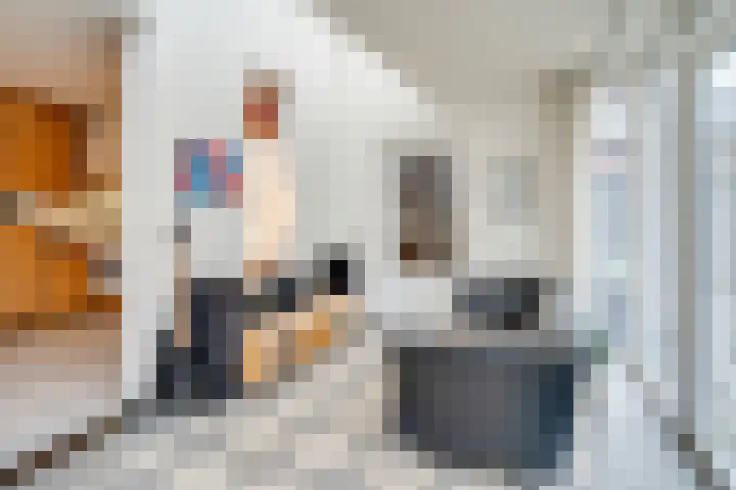 Holsberg 24 Urmond thumbnail 17