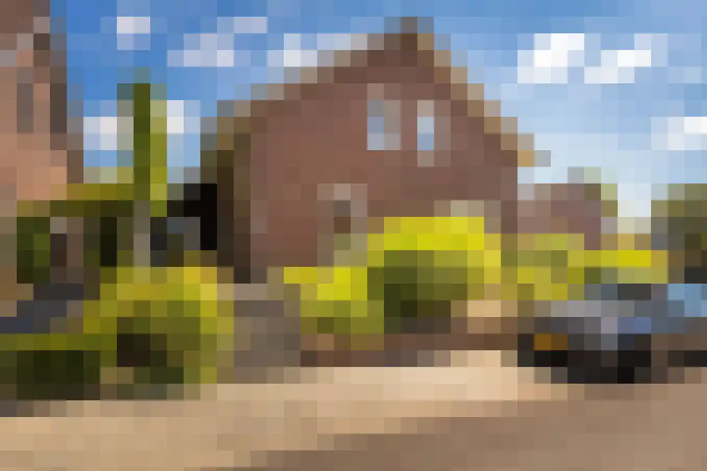 Holsberg 26 Urmond thumbnail 12