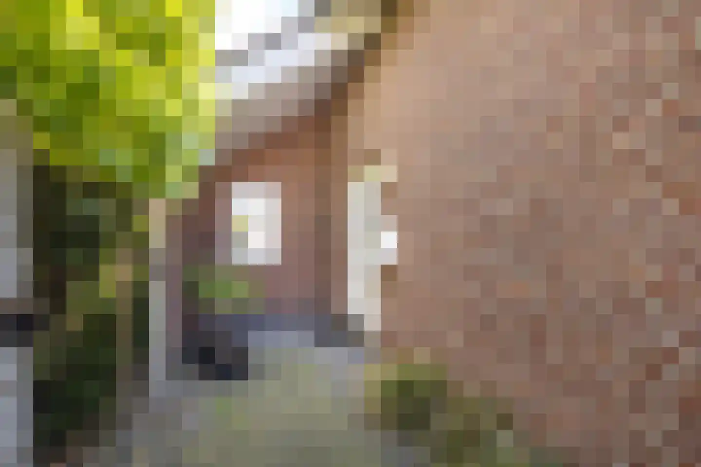 Holsberg 26 Urmond thumbnail 14