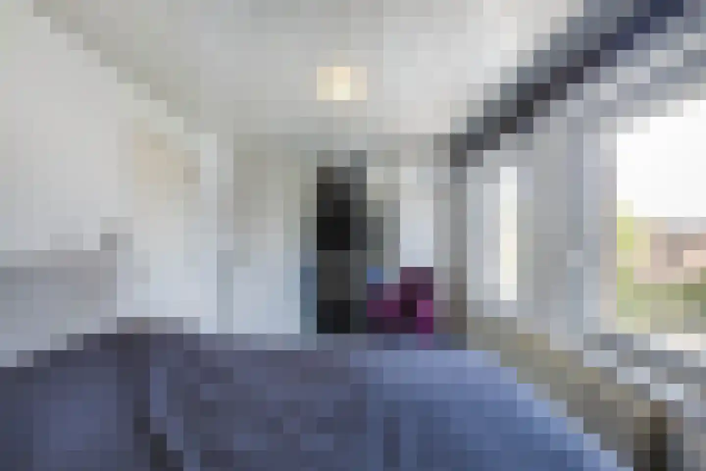 Holsberg 26 Urmond thumbnail 37