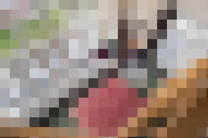 Holsberg 39 Urmond thumbnail 22