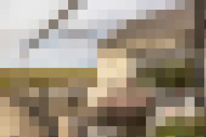 Holsberg 39 Urmond thumbnail 39