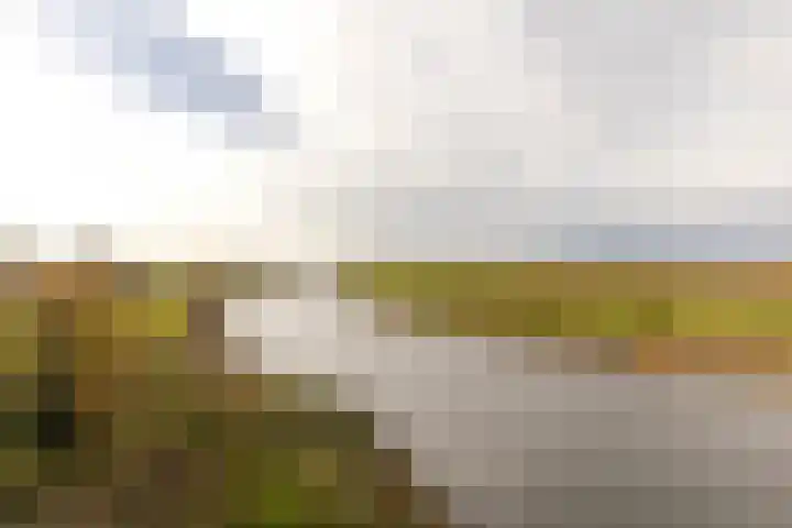 Holsberg 39 Urmond thumbnail 41