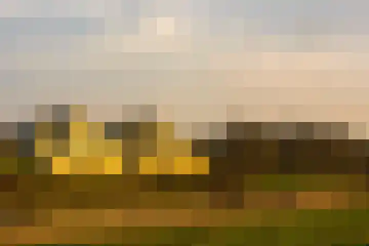 Holsberg 39 Urmond thumbnail 62