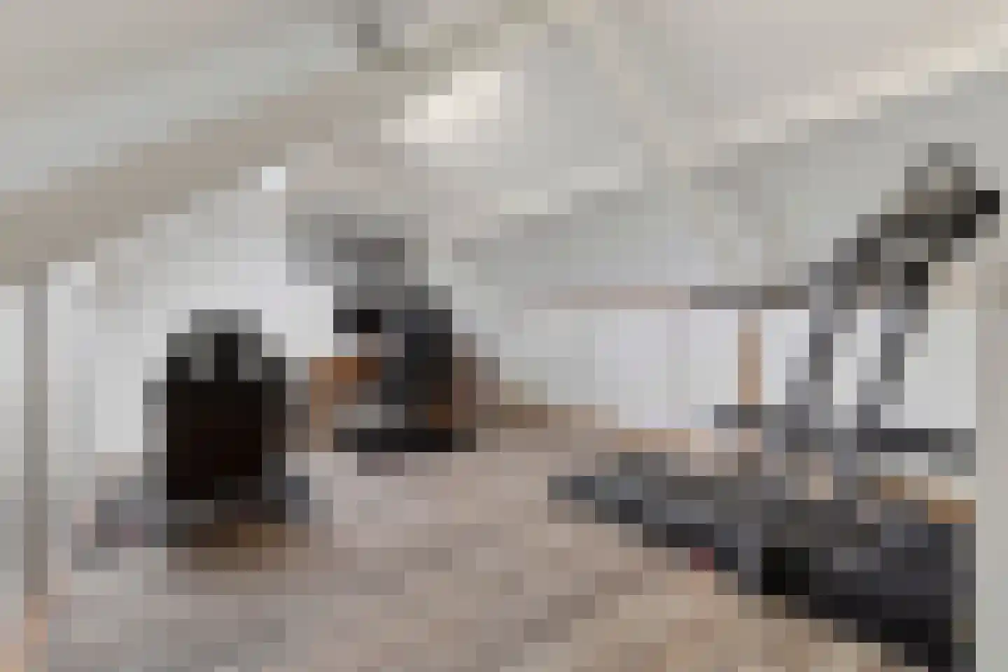 Holsberg 8 Urmond thumbnail 10