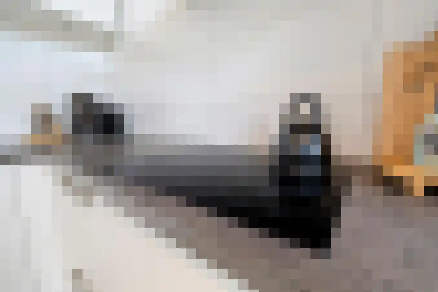 Holsberg 8 Urmond thumbnail 27