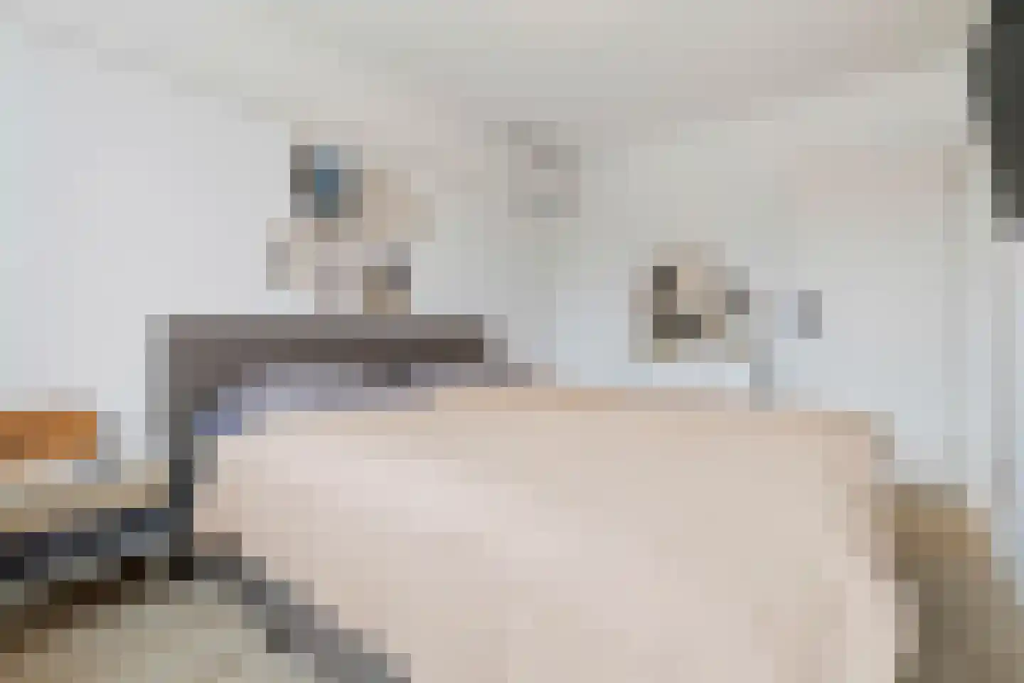 Holsberg 8 Urmond thumbnail 31