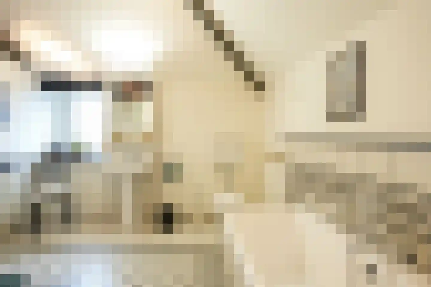 Holset 70 Lemiers thumbnail 37