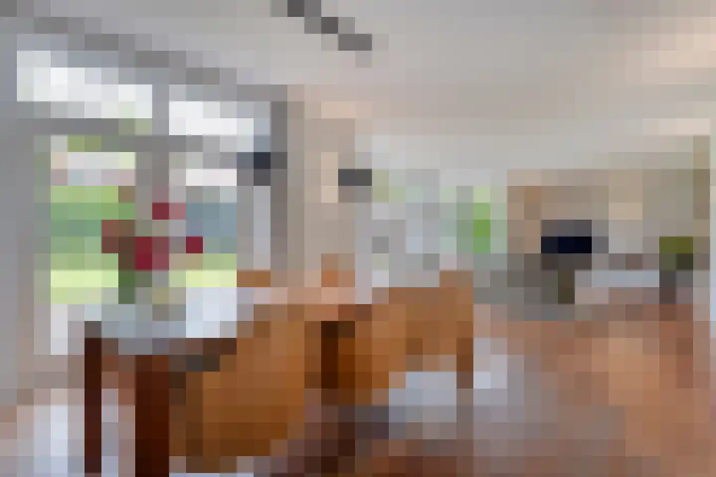 Holslootbrink 20 Eesveen thumbnail 22