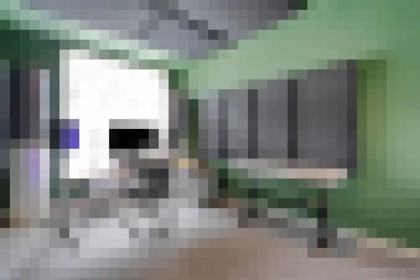 Holslootbrink 20 Eesveen thumbnail 26