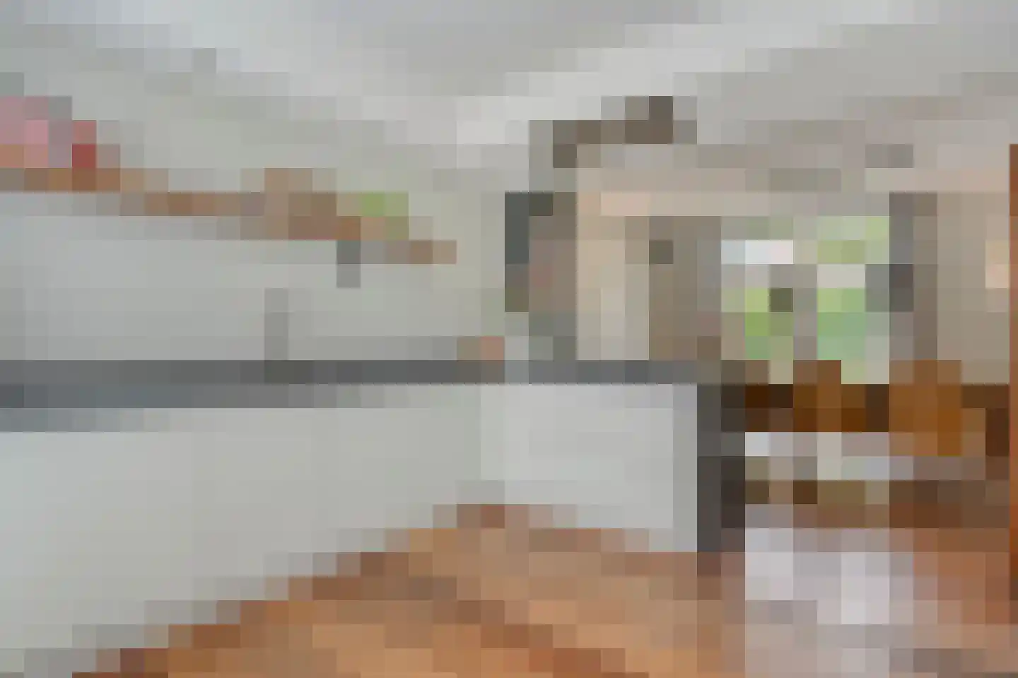 Holslootbrink 20 Eesveen thumbnail 4