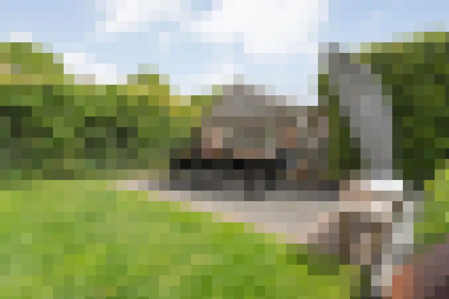 Holslootbrink 20 Eesveen thumbnail 46