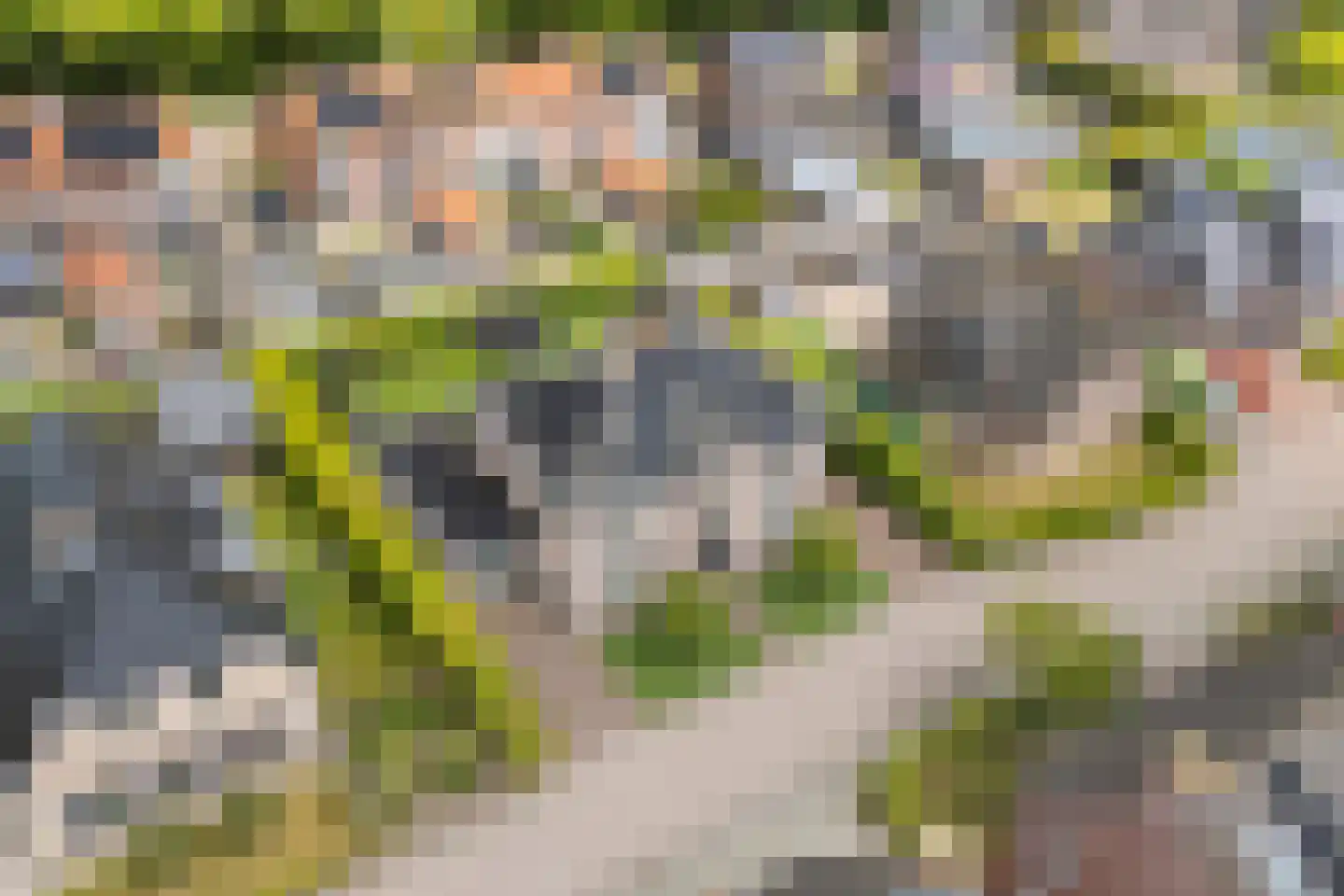 Holslootbrink 20 Eesveen thumbnail 6