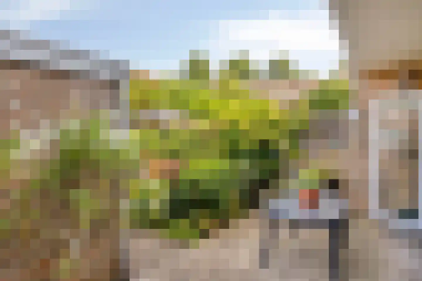 Holsteinbastion 25 Maastricht thumbnail 29