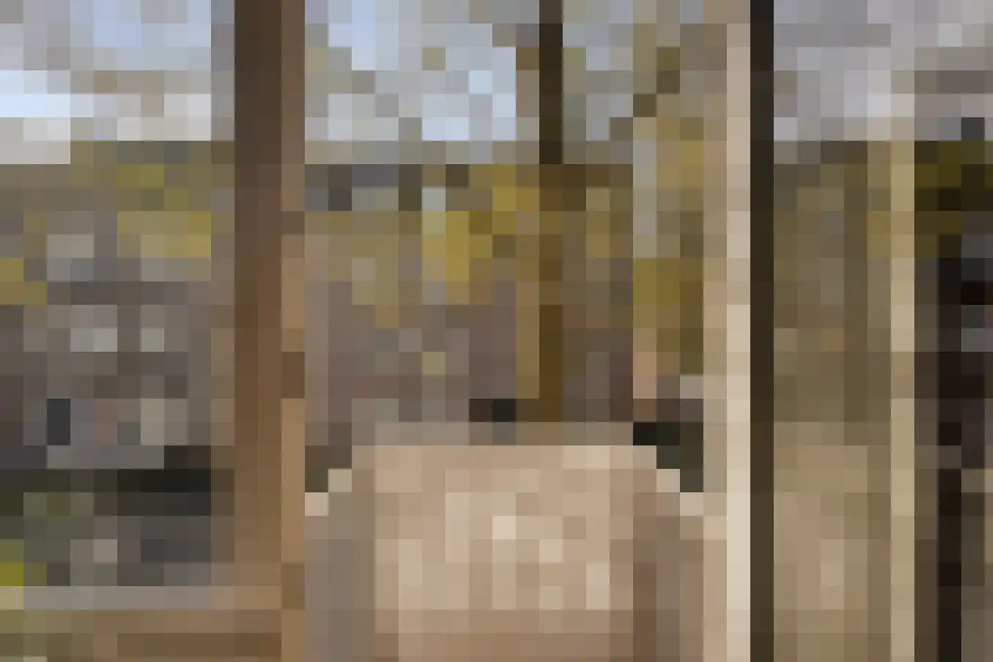 Holsteinbastion 43 B Maastricht thumbnail 8