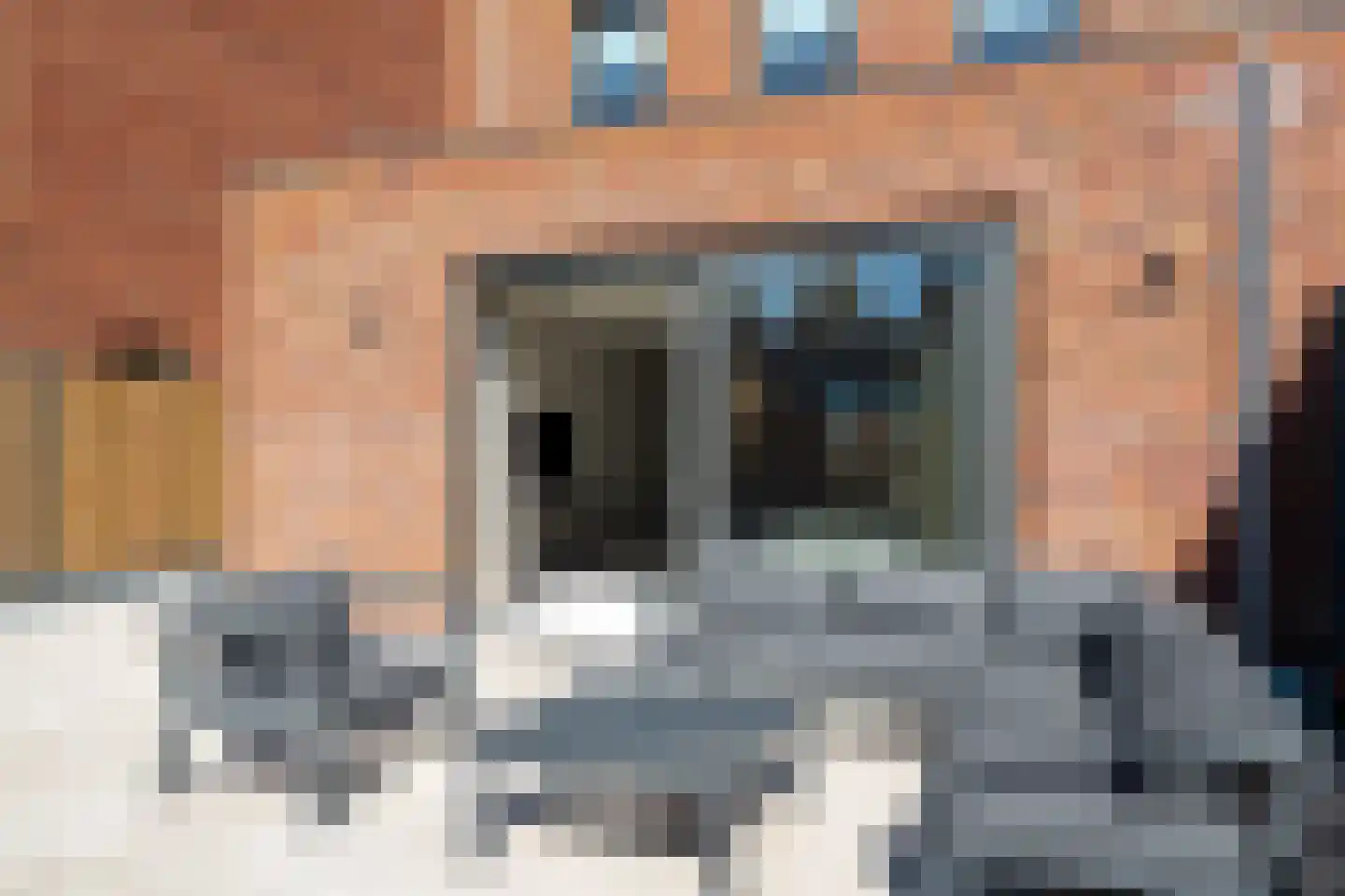 Holsteiner 10 Meerstad thumbnail 35