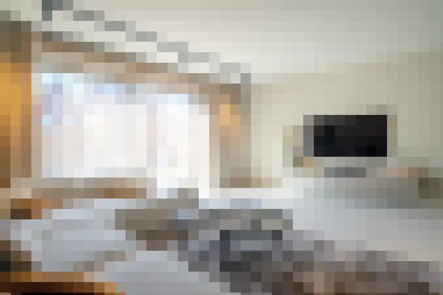 Holsteiner 10 Meerstad thumbnail 6