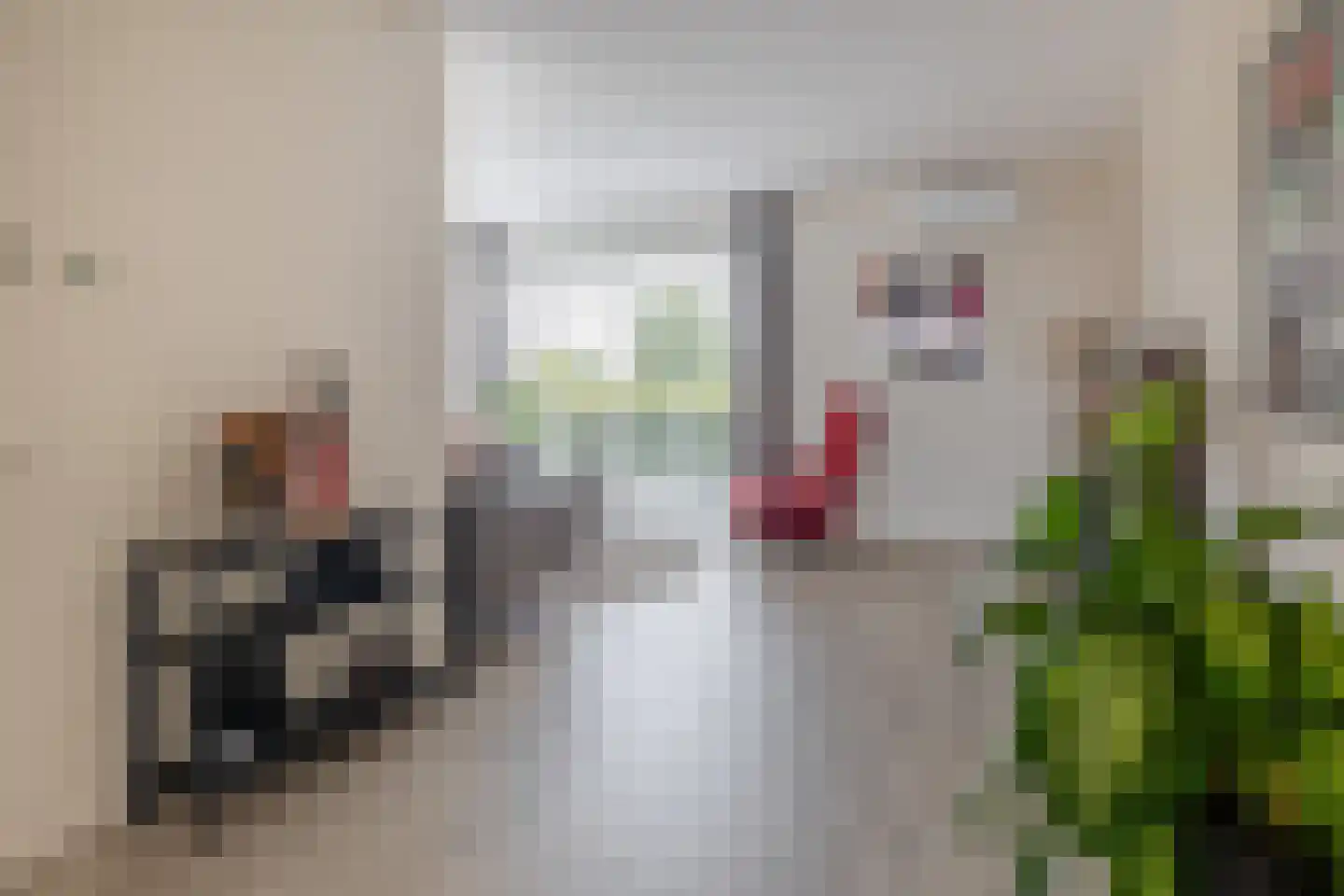 Holsteiner 2 Meerstad thumbnail 13