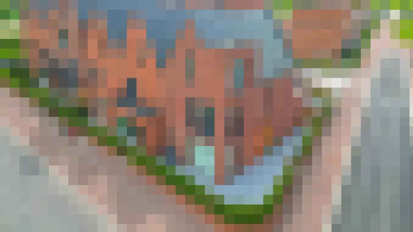 Holsteiner 2 Meerstad thumbnail 43