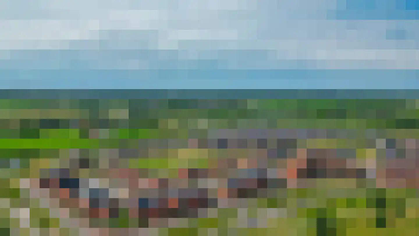 Holsteiner 2 Meerstad thumbnail 47