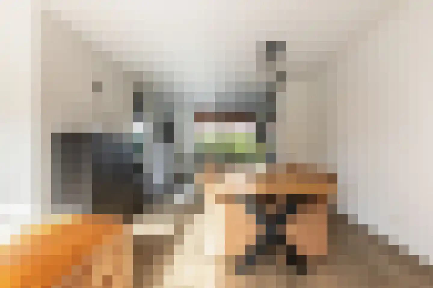 Holsteinerlaan 14 Cruquius thumbnail 10