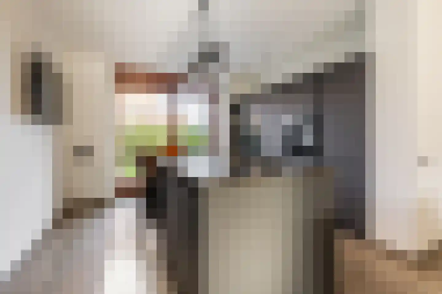 Holsteinerlaan 14 Cruquius thumbnail 14