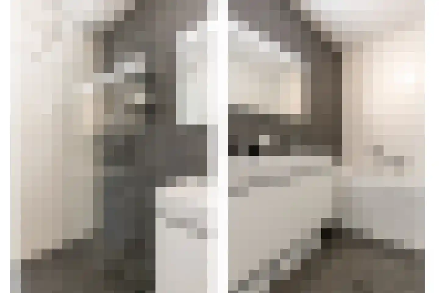 Holsteinerlaan 14 Cruquius thumbnail 21