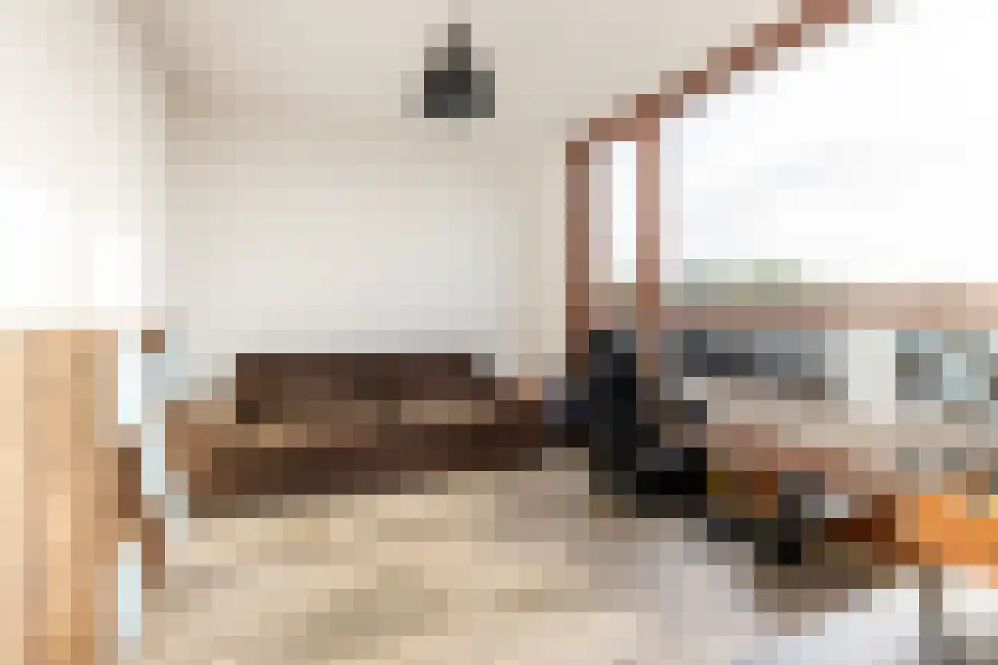 Holsteinerlaan 14 Cruquius thumbnail 28