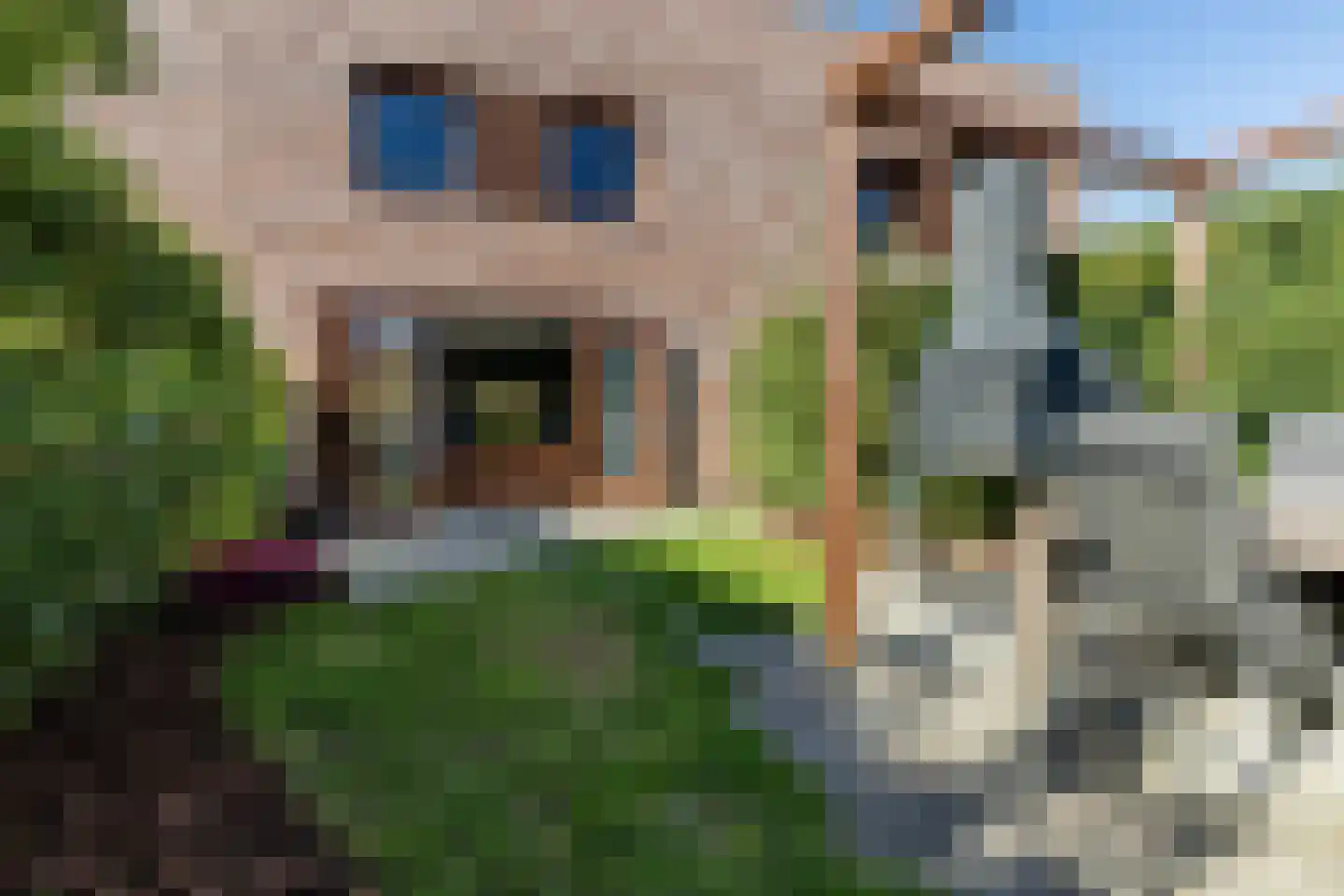 Holsteinerlaan 14 Cruquius thumbnail 35