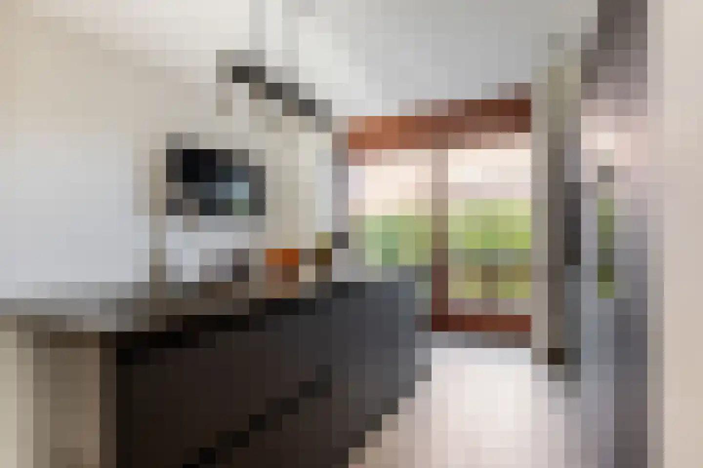 Holsteinerlaan 14 Cruquius thumbnail 4