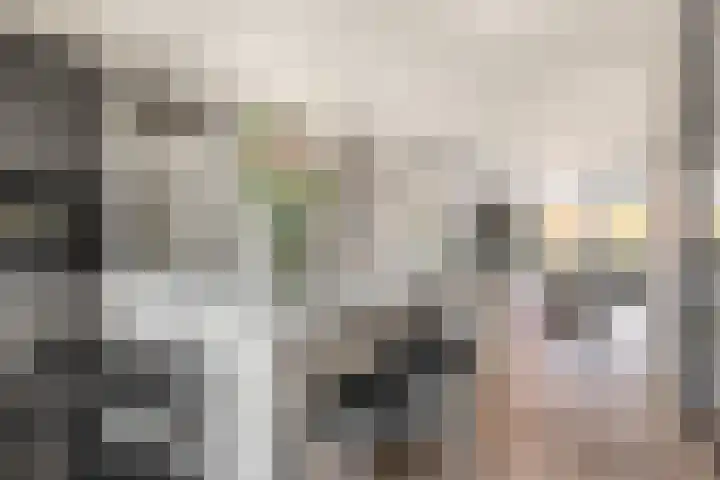 Holsteinerlaan 8 Cruquius thumbnail 13