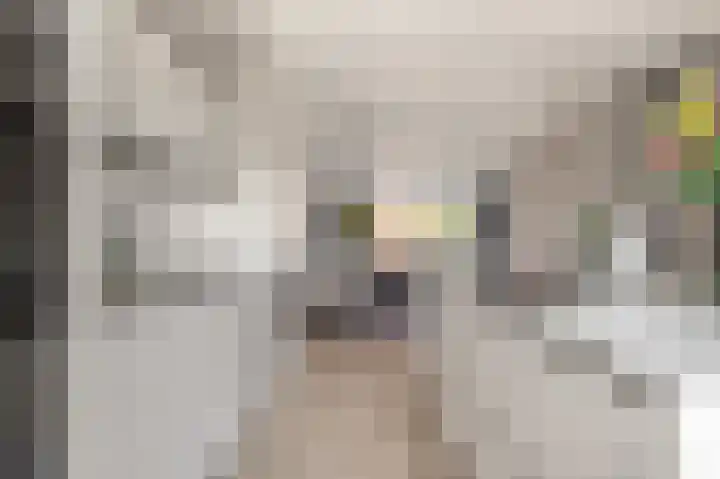 Holsteinerlaan 8 Cruquius thumbnail 15