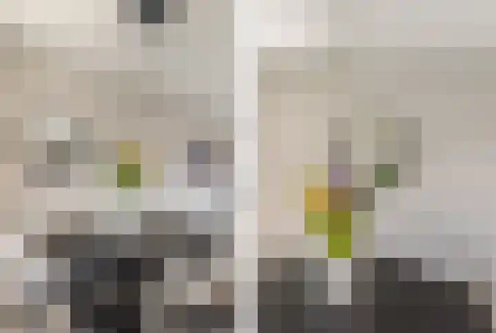 Holsteinerlaan 8 Cruquius thumbnail 16