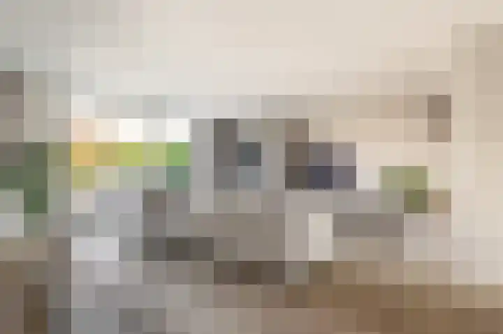 Holsteinerlaan 8 Cruquius thumbnail 19
