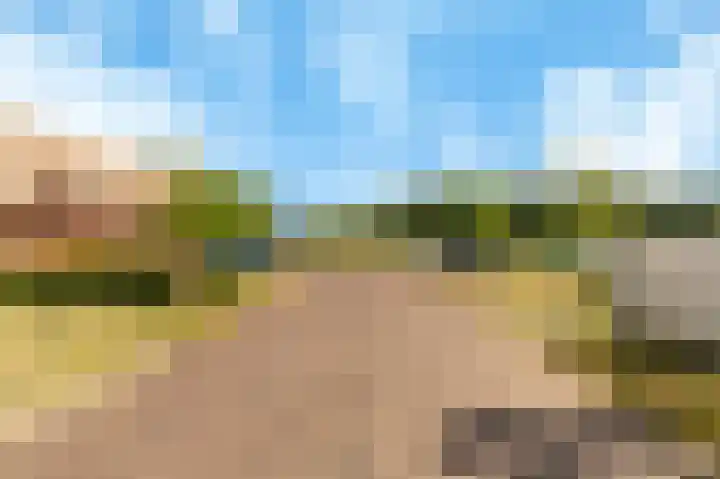Holsteinerlaan 8 Cruquius thumbnail 43