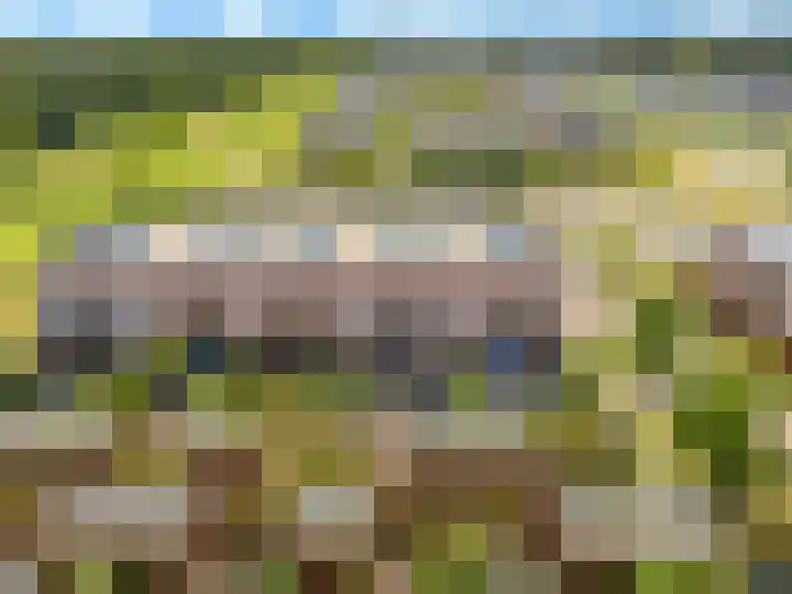 Holsteinerlaan 8 Cruquius thumbnail 44