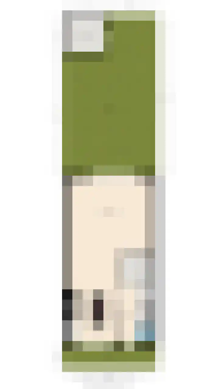 Holsteinerlaan 8 Cruquius thumbnail 48