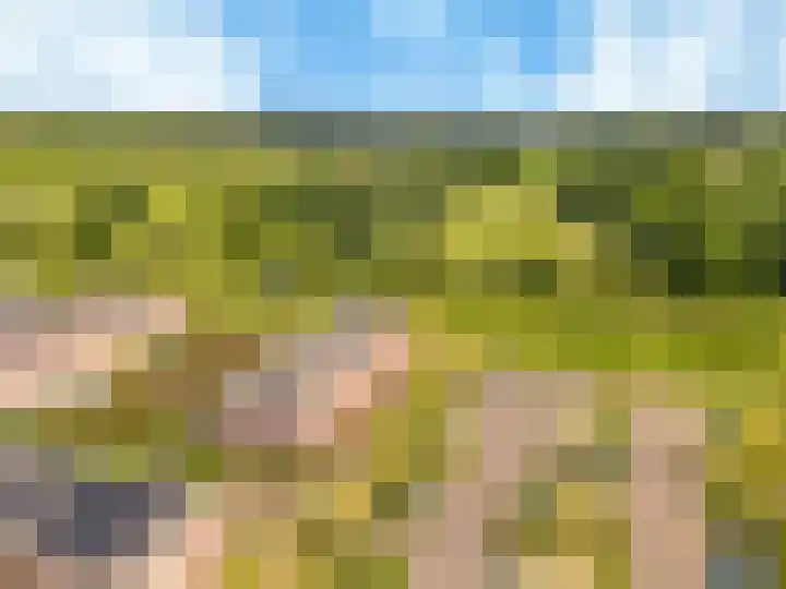 Holsteinerlaan 8 Cruquius thumbnail 6