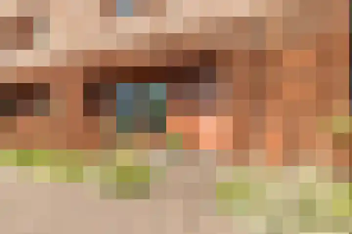 Holsteinerlaan 8 Cruquius thumbnail 7