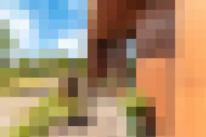 Holsteinerlaan 8 Cruquius thumbnail 8