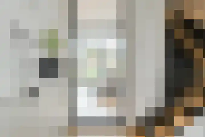 Holsteinpad 34 Teteringen thumbnail 15