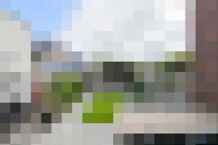 Holsteinpad 34 Teteringen thumbnail 33