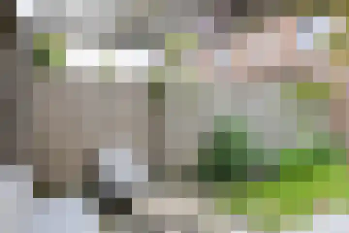 Holsteinpad 34 Teteringen thumbnail 36